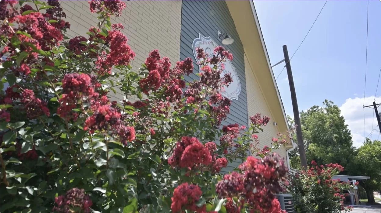 L'Amitié restaurant interior